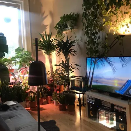 Urban Jungle Oasis In Queens! Apartment